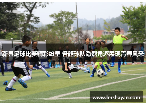 新县足球比赛精彩纷呈 各路球队激烈角逐展现青春风采