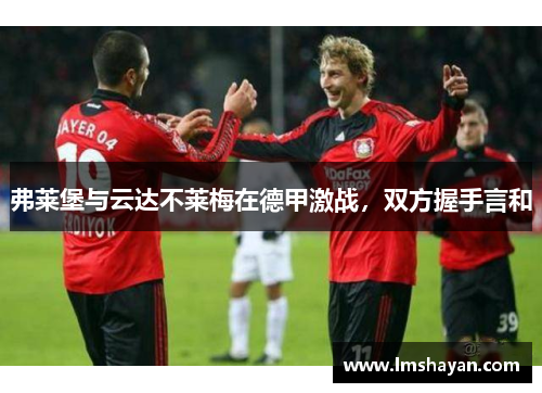 弗莱堡与云达不莱梅在德甲激战，双方握手言和
