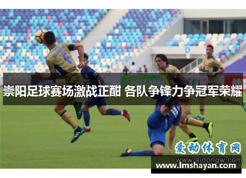 崇阳足球赛场激战正酣 各队争锋力争冠军荣耀